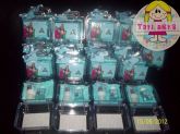 maletinha kit maternidade